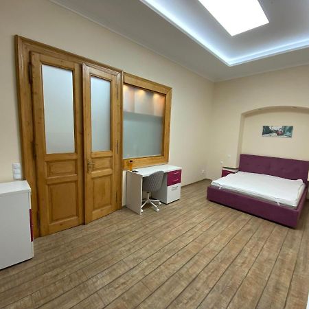 Centre Ville Apartment 克卢日-纳波卡 外观 照片
