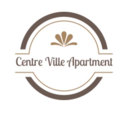 Centre Ville Apartment 克卢日-纳波卡 外观 照片